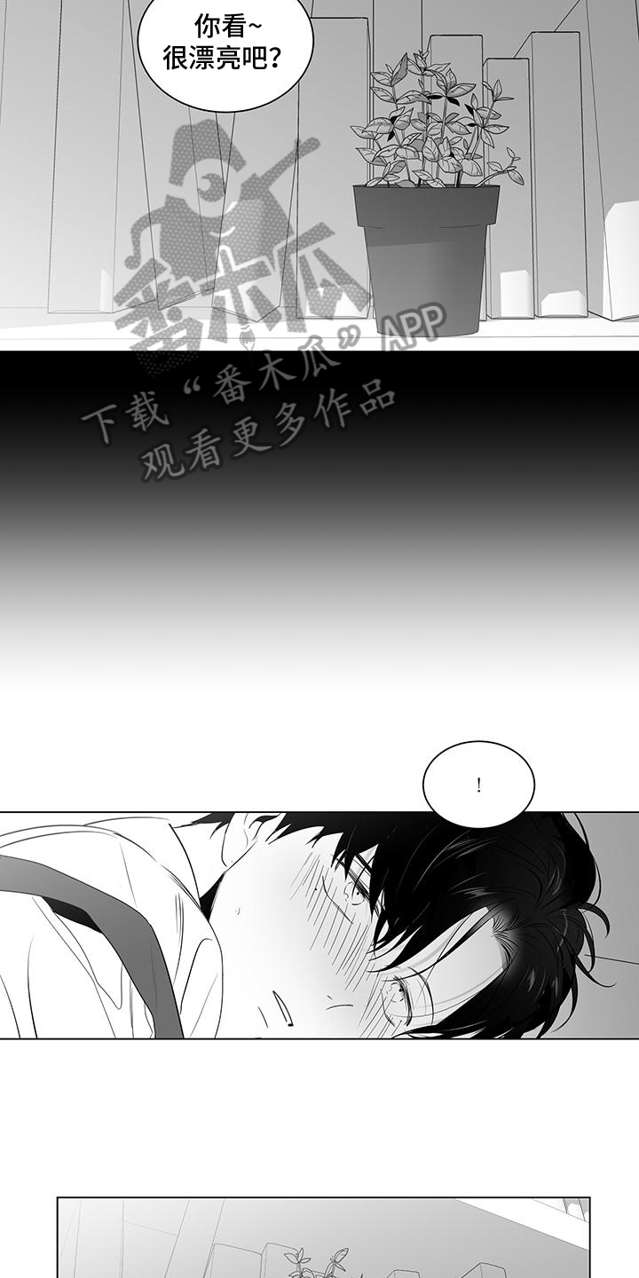 亲爱的爸妈电视剧全集在线免费漫画,第10章：装饰1图