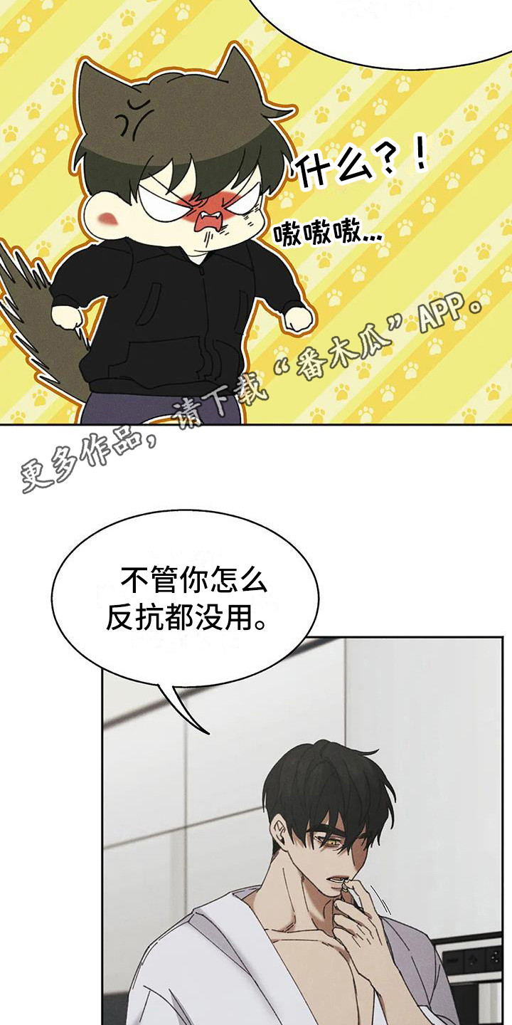 狂攻公寓盲点漫画解说全集漫画,第5章：盲点：失去自由1图