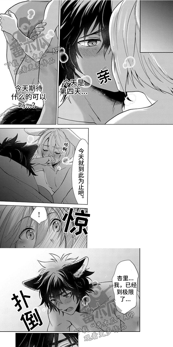 兔兔动画片漫画,第16章：期待已久1图