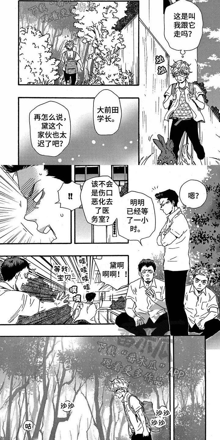 明日青岛有大暴雨吗漫画,第29章：带路1图