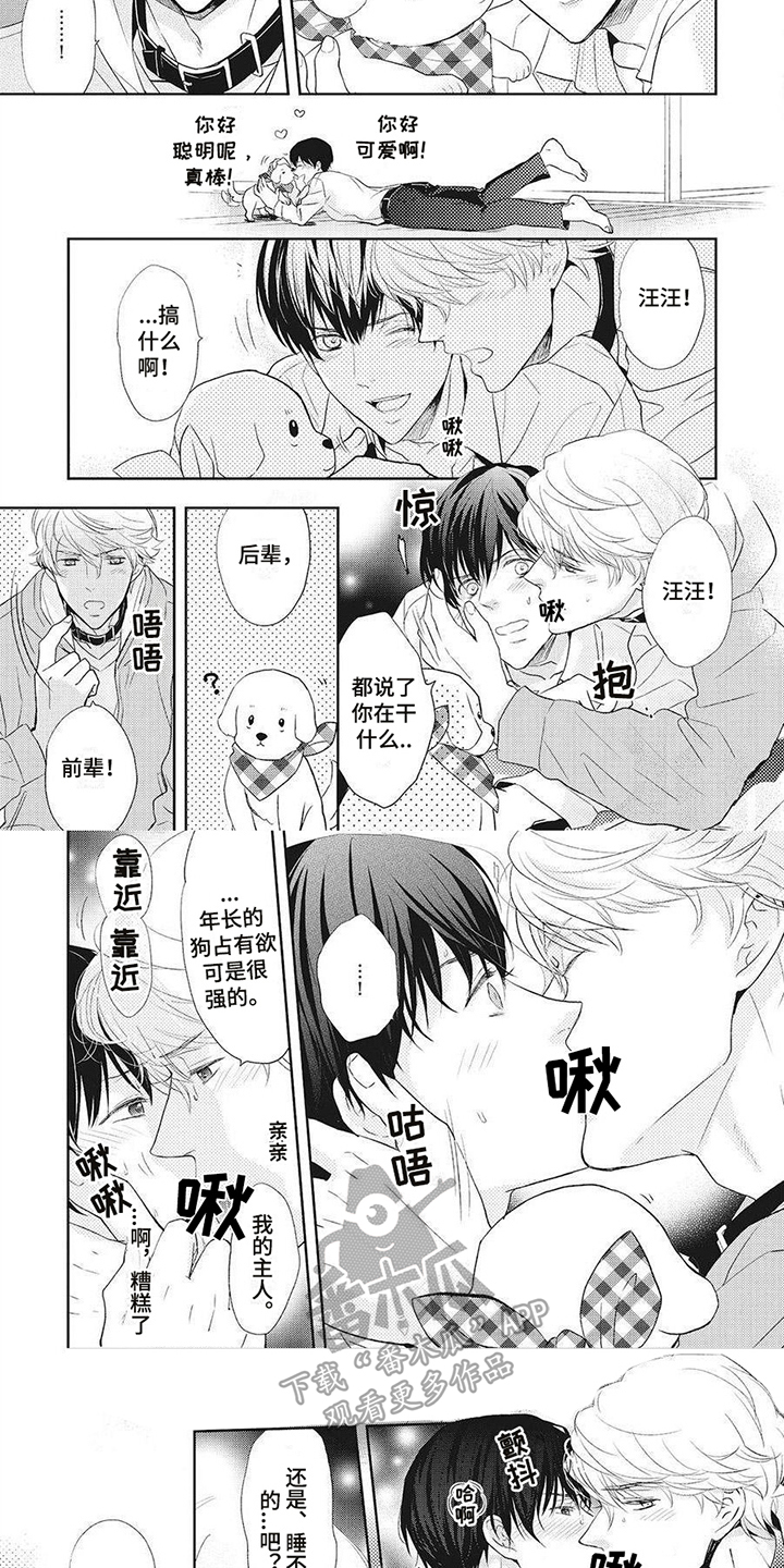 狼的偏爱漫画,第8章：睡不着1图