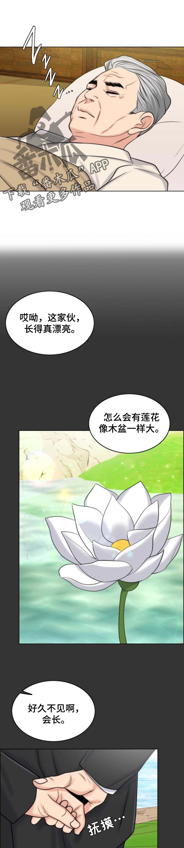 限时婚姻漫画,第74章：出淤泥而不染1图