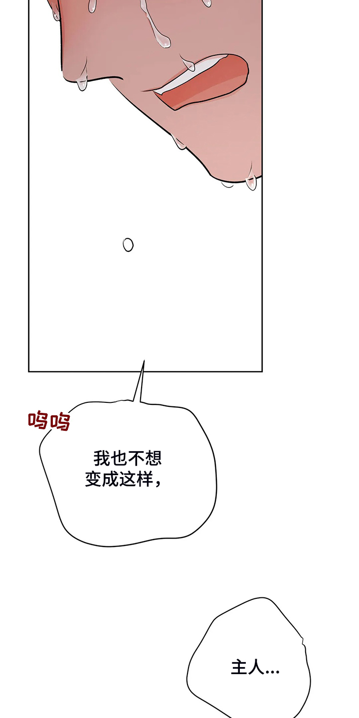 校园监控系统费用漫画,第93章：不会抛弃我1图