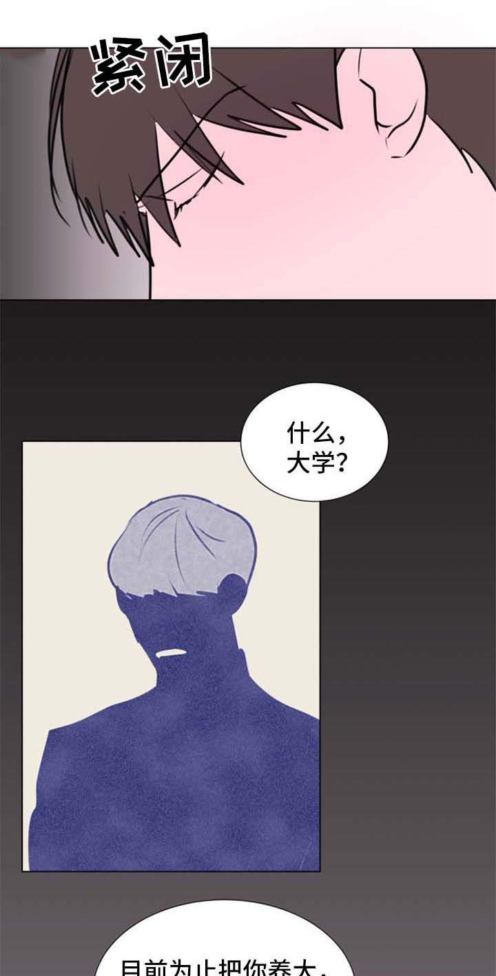 秘密图纸漫画,第63章：【第二季】琢磨琢磨1图