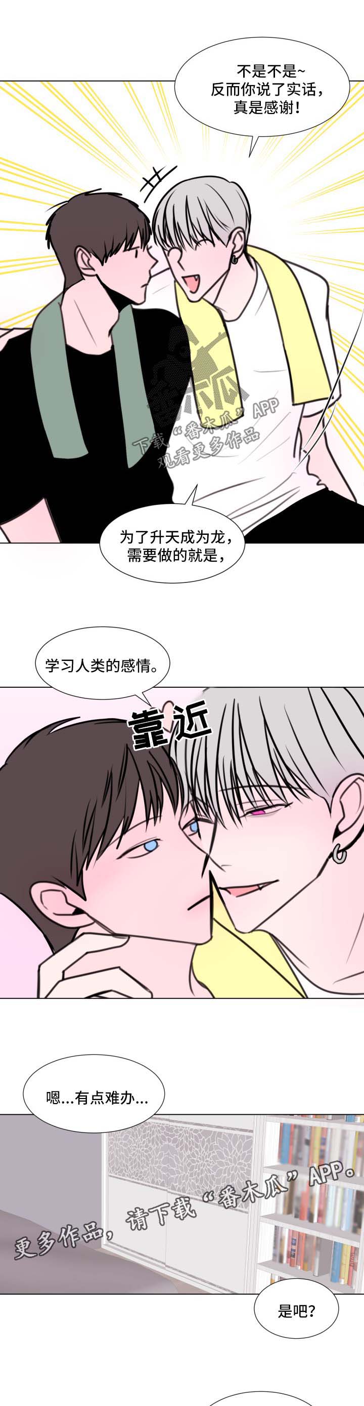 秘密图纸电视剧全集漫画,第31章：约会2图