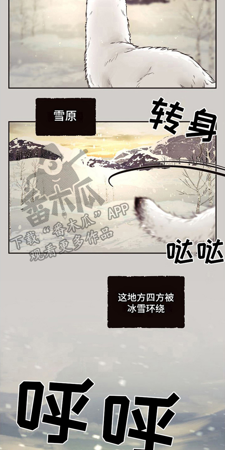 囚兔传漫画下载漫画,第15章：北极兔：雪国2图