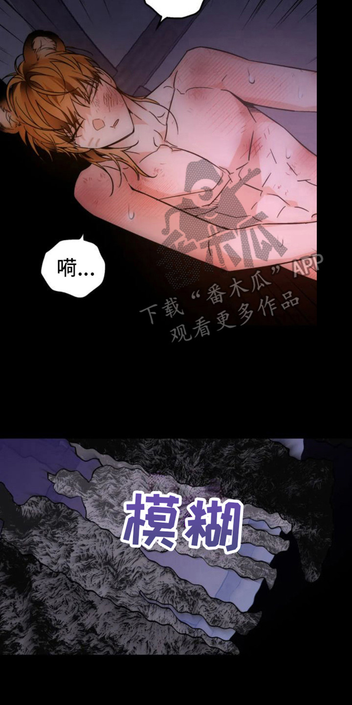 囚兔传北极的兔子漫画叫什么漫画,第43章：乱入的老虎：梦2图