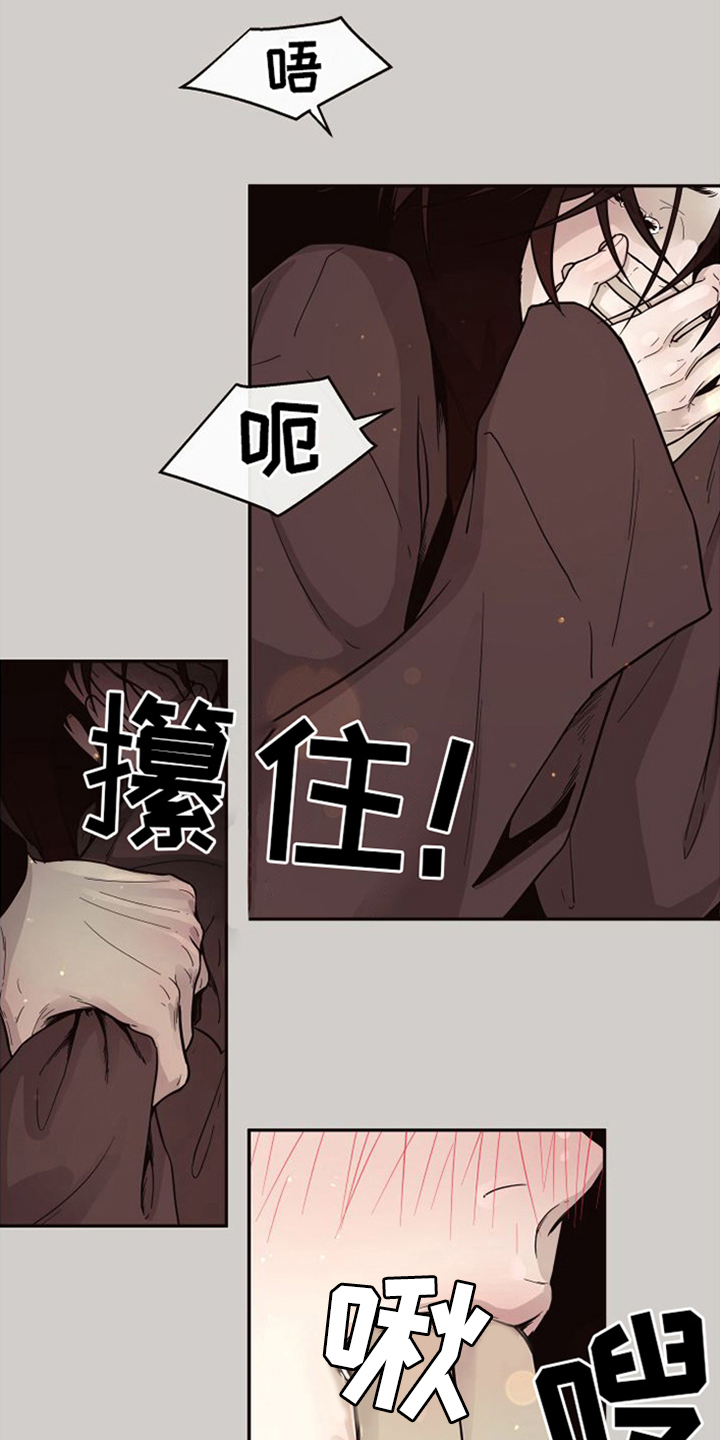 求突破几月几号高点公式选股漫画,第17章：北极兔：跟随2图