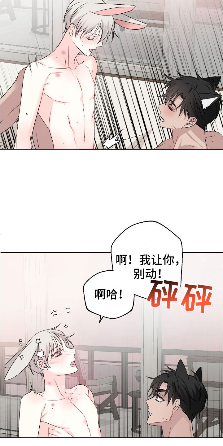 囚兔传韩漫漫画,第34章：订婚骗局：真的喜欢【完】2图