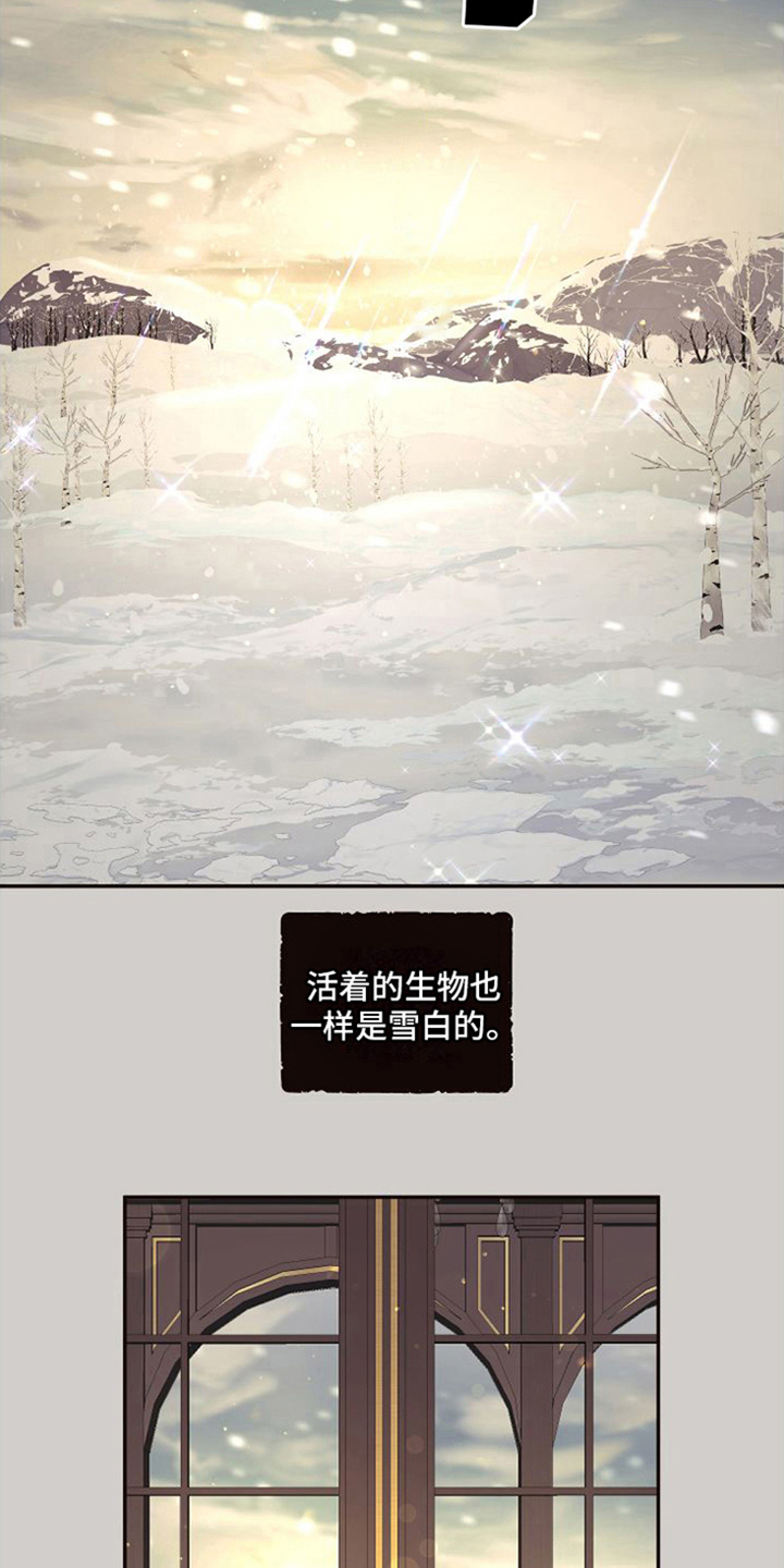 球团漫画,第15章：北极兔：雪国1图