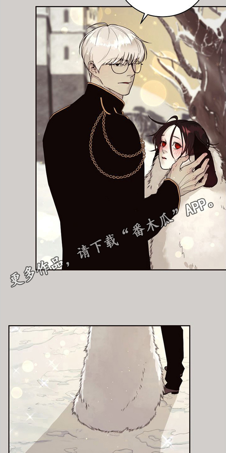 球团漫画,第18章：北极兔：选择权1图