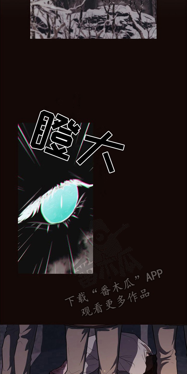 囚兔传北极的兔子漫画叫什么漫画,第20章：北极兔：出事了1图