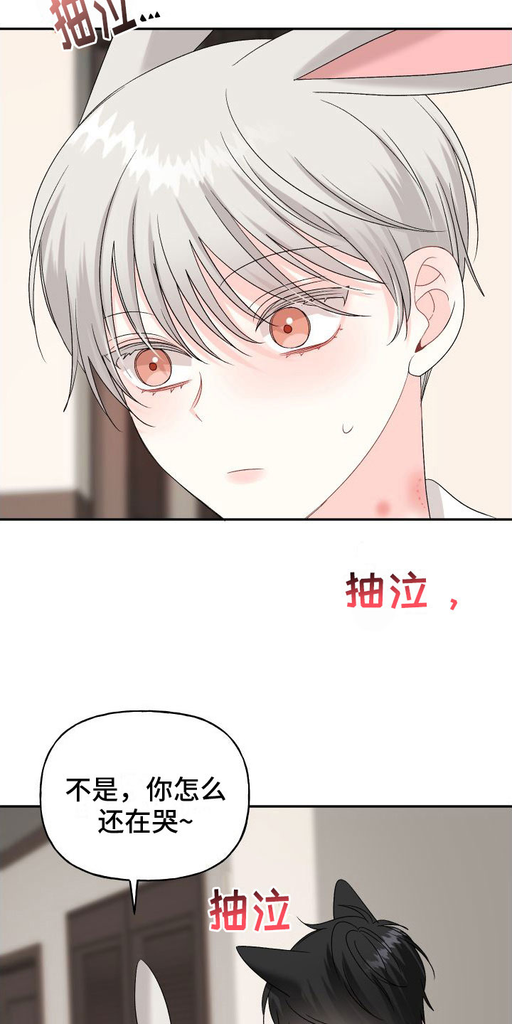 囚徒漫画,第33章：订婚骗局：再来一次2图