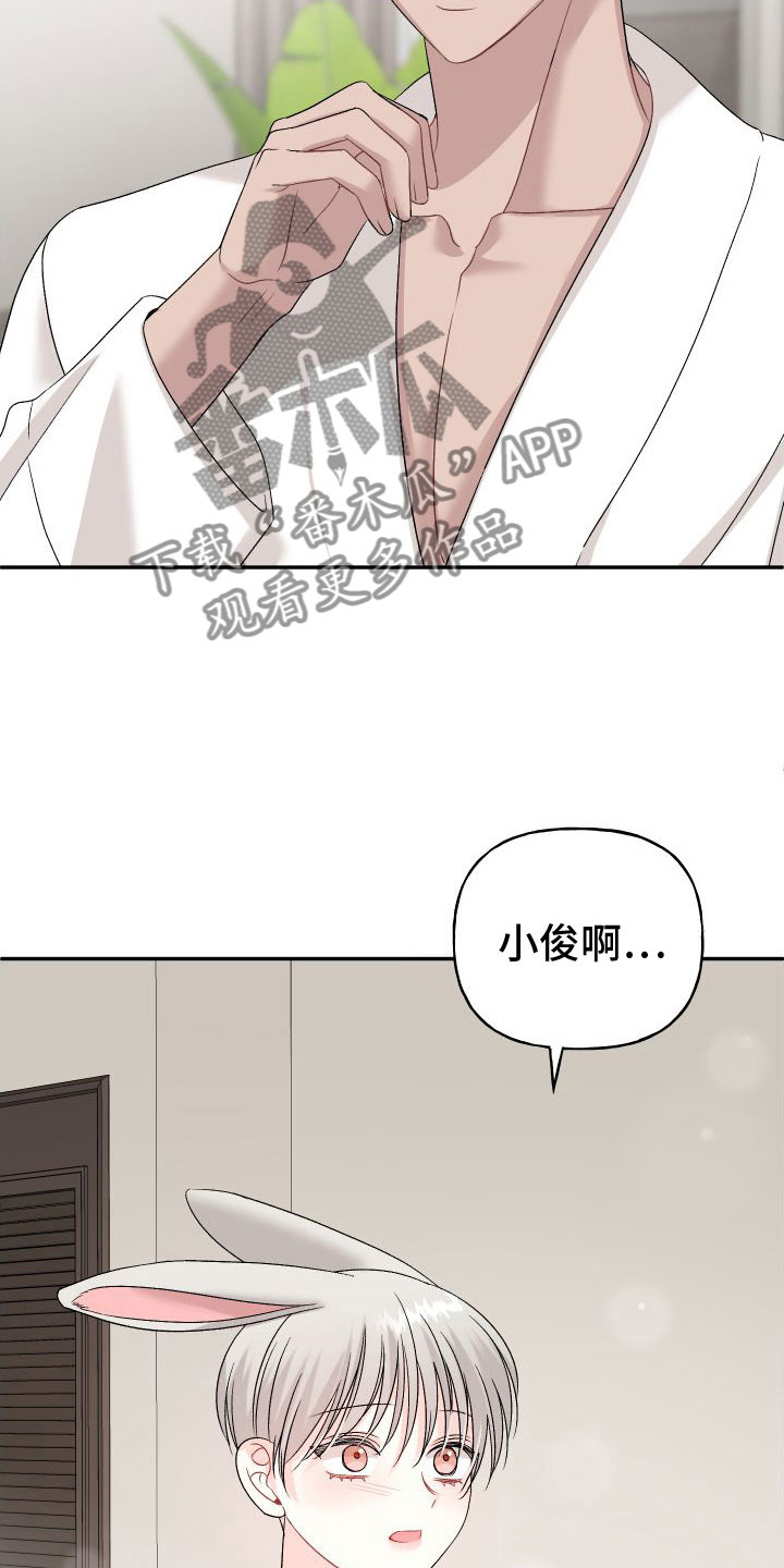 囚兔传北极的兔子漫画在哪里看漫画,第33章：订婚骗局：再来一次1图