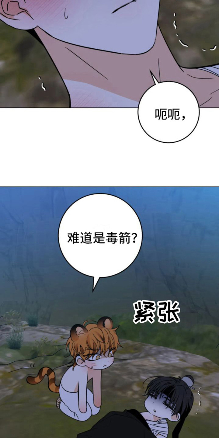 球团漫画,第46章：乱入的老虎：笨蛋1图