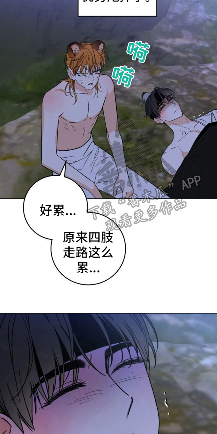 囚兔传北极的兔子漫画叫什么漫画,第46章：乱入的老虎：笨蛋2图