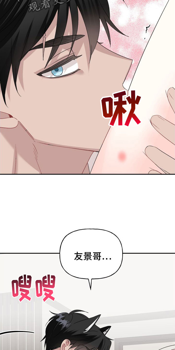 囚兔传漫画免费版下拉奇妙漫画漫画,第33章：订婚骗局：再来一次2图