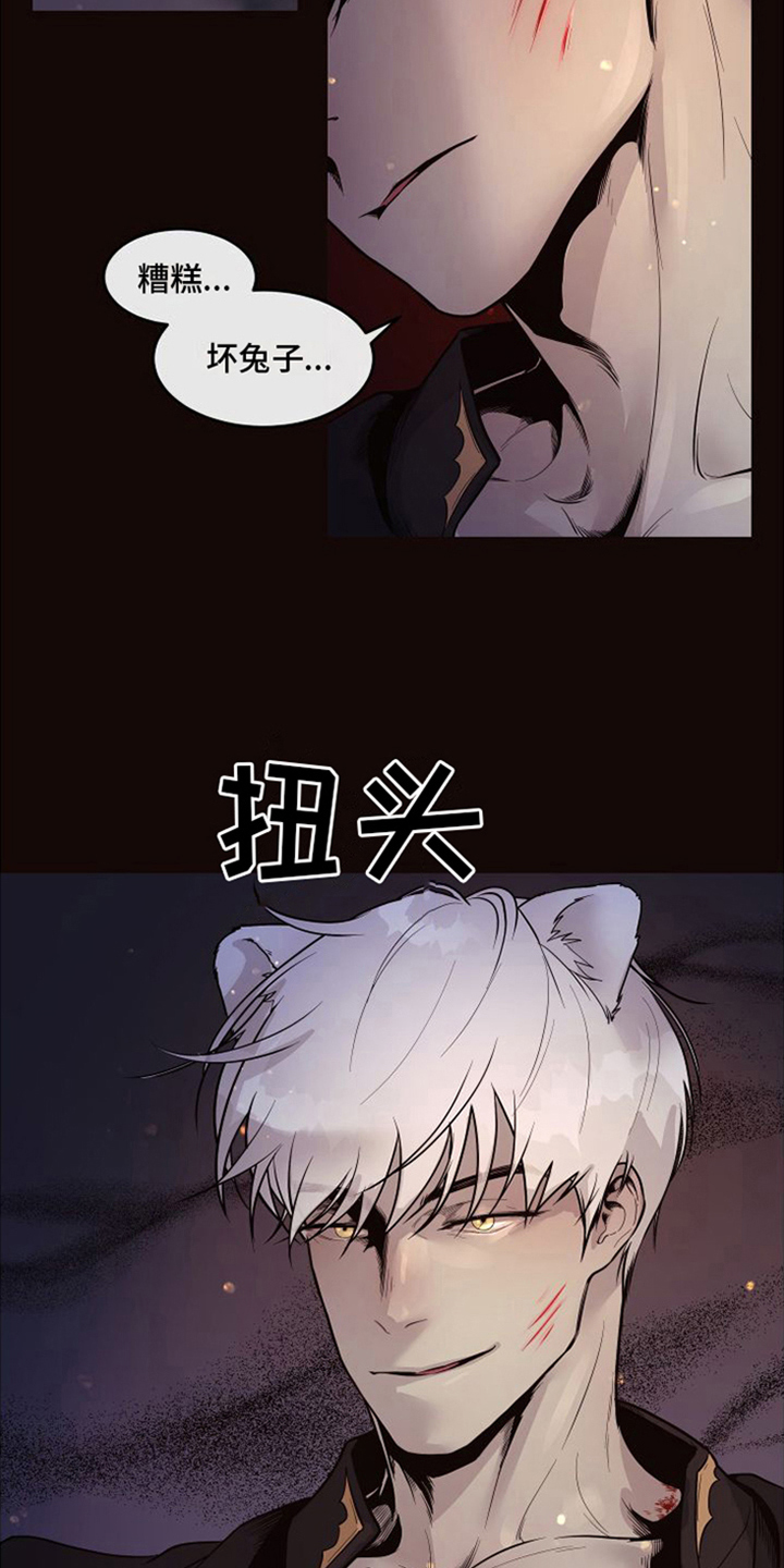 球团漫画,第22章：北极兔：唯一的黑色（完）1图