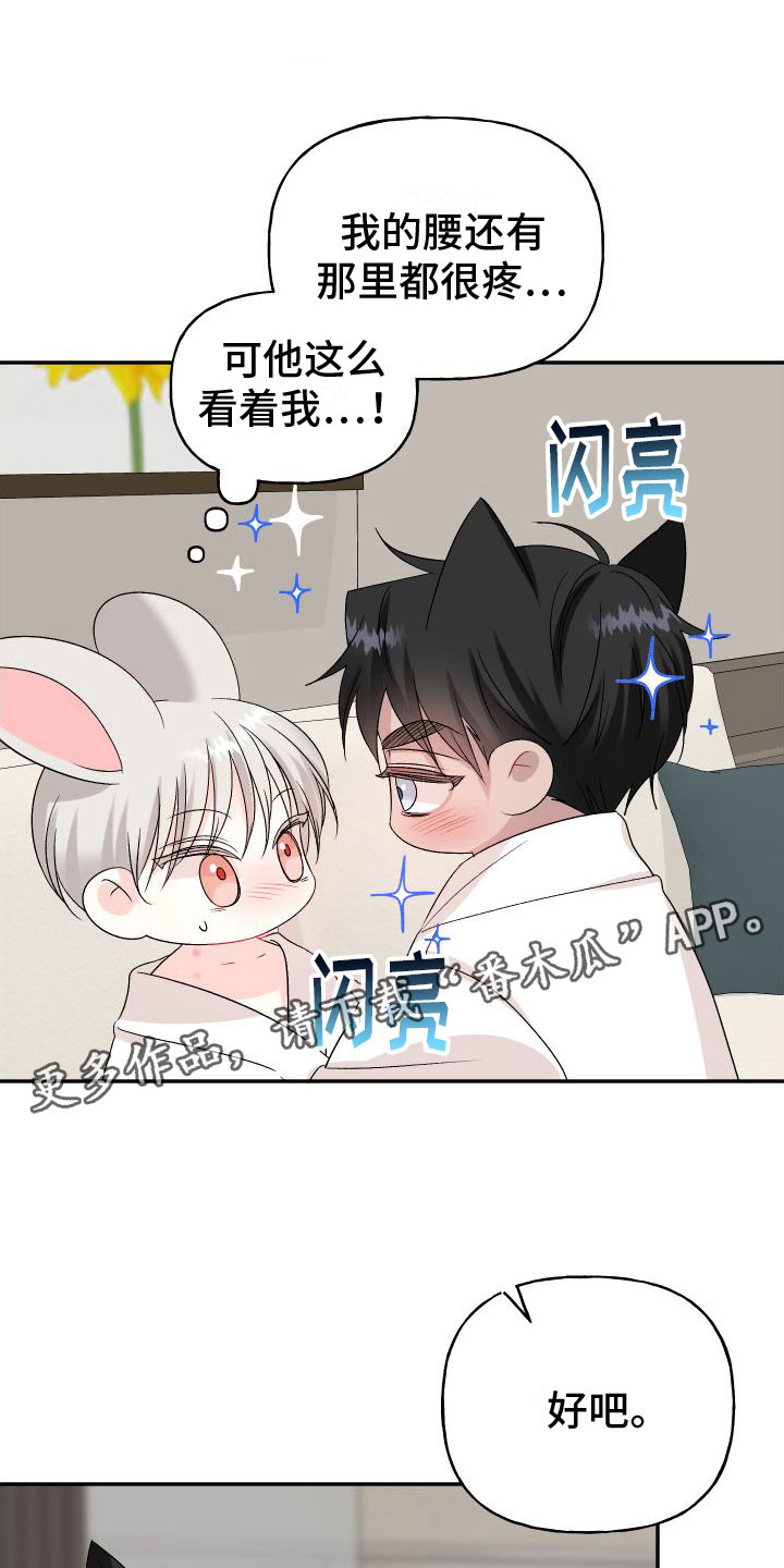 囚兔传北极的兔子漫画在哪里看漫画,第34章：订婚骗局：真的喜欢【完】1图