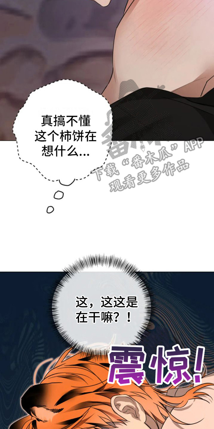 囚兔传韩漫漫画,第38章：乱入的老虎：很可怕2图