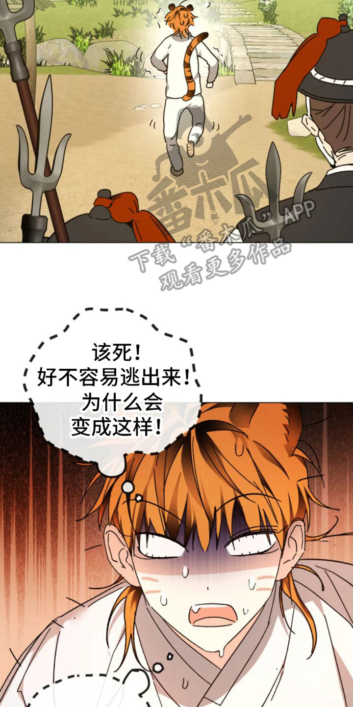 囚兔传韩漫漫画,第42章：乱入的老虎：被抓了2图