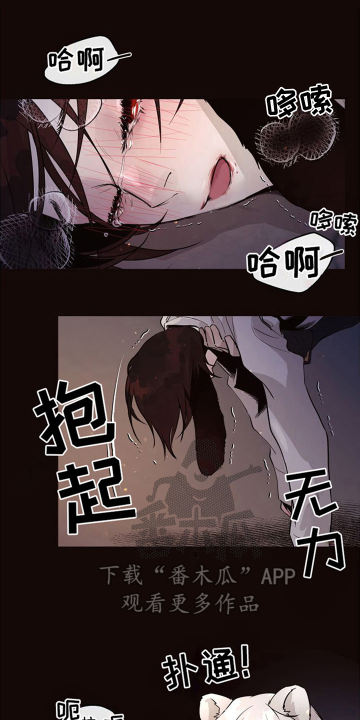 囚兔传里的订婚骗局[旺柴][旺柴][旺柴]在画涯漫画,第22章：北极兔：唯一的黑色（完）1图