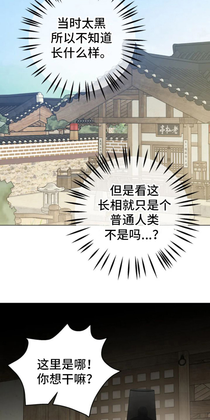 囚金枝漫画,第39章：乱入的老虎：好奇1图