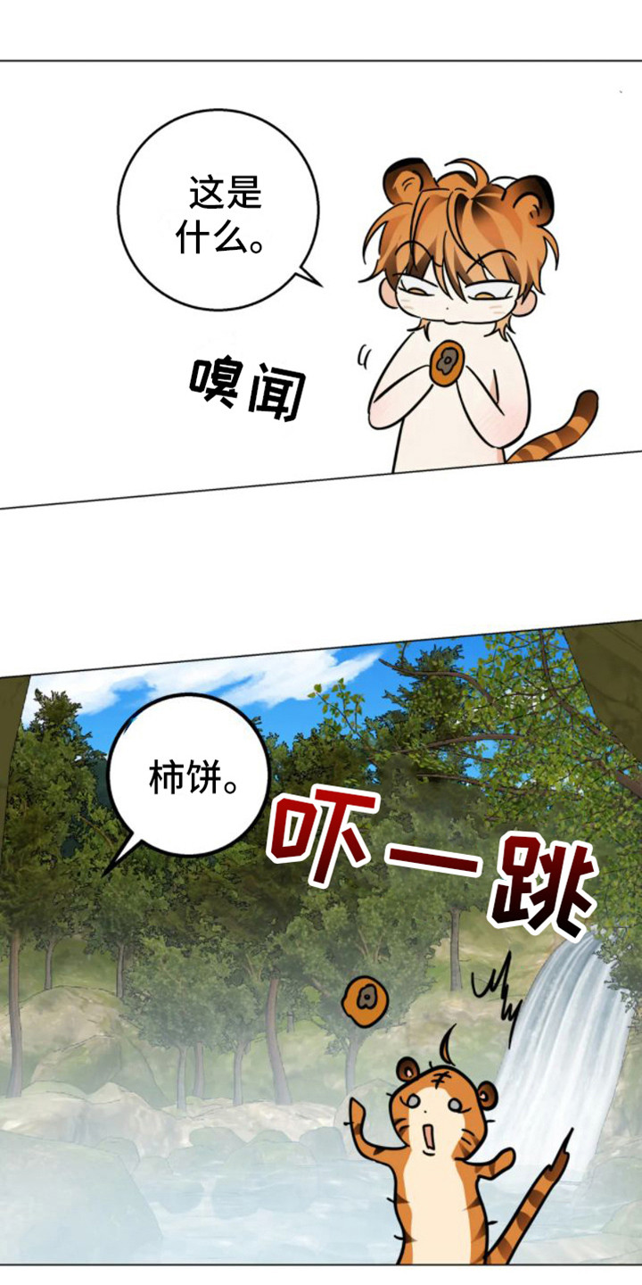 囚兔传别名漫画,第47章：乱入的老虎：非常甜（完）1图