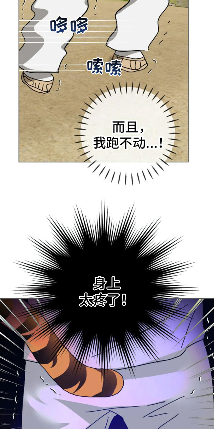 球团漫画,第42章：乱入的老虎：被抓了2图