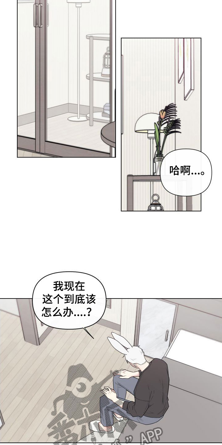 囚兔传漫画免费版下拉奇妙漫画漫画,第6章：卡住：兔耳朵2图