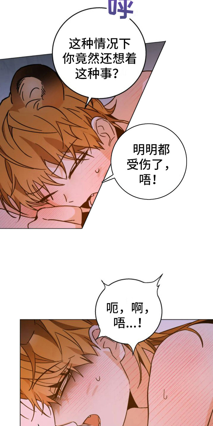 囚兔传里的订婚骗局[旺柴][旺柴][旺柴]在画涯漫画,第46章：乱入的老虎：笨蛋1图