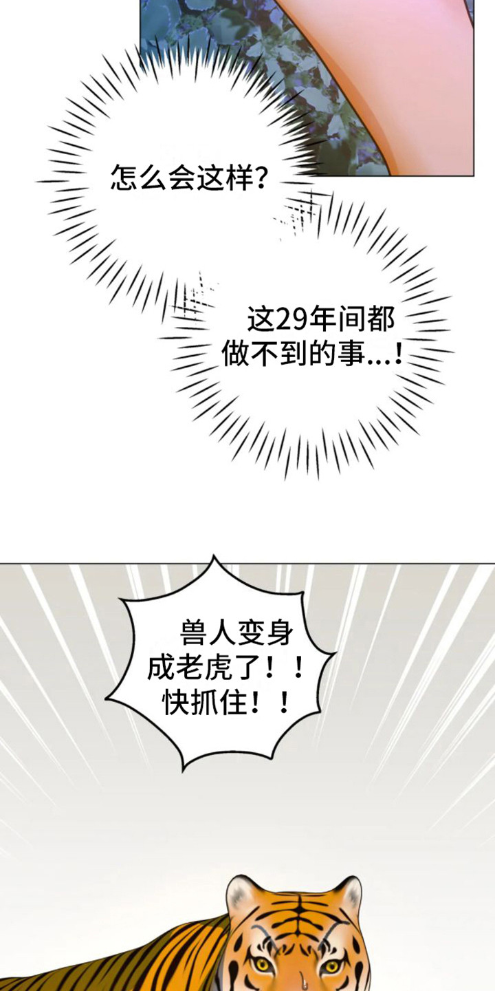 囚兔传漫画免费观看漫画,第45章：乱入的老虎：变身1图