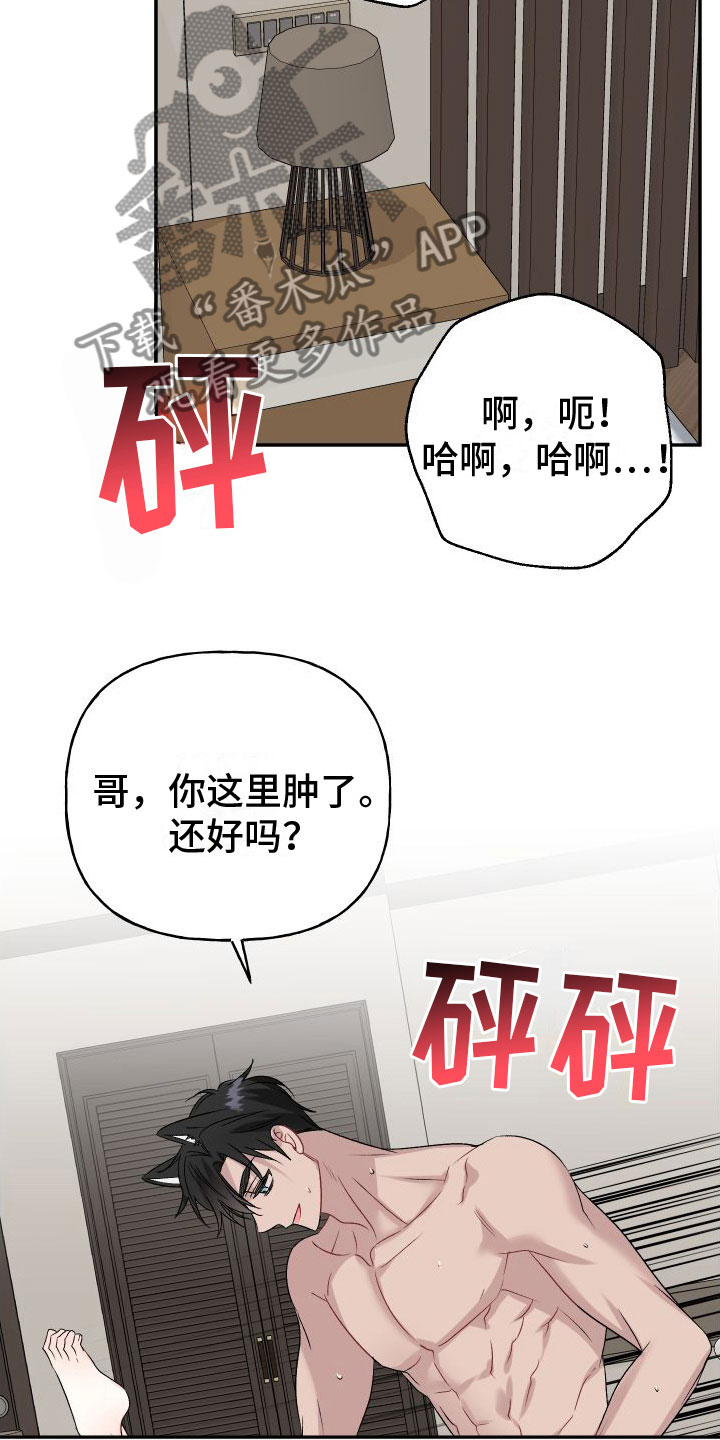 囚兔传里的订婚骗局[旺柴][旺柴][旺柴]在画涯漫画,第34章：订婚骗局：真的喜欢【完】2图