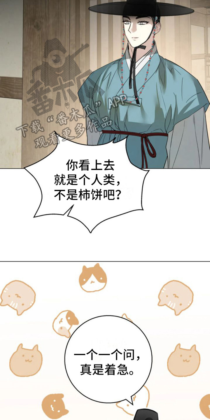 囚兔传合集双男主漫画,第39章：乱入的老虎：好奇2图