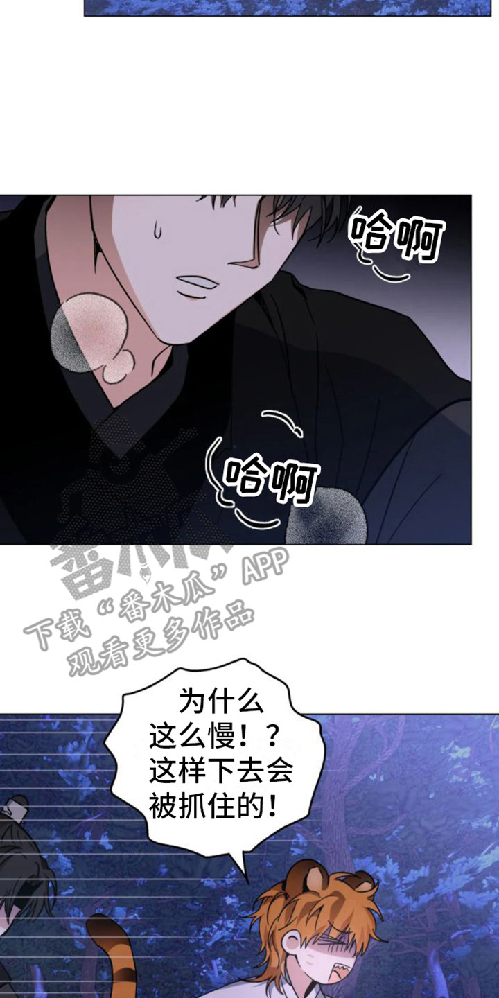 囚兔传里的订婚骗局[旺柴][旺柴][旺柴]在画涯漫画,第44章：乱入的老虎：受伤了2图