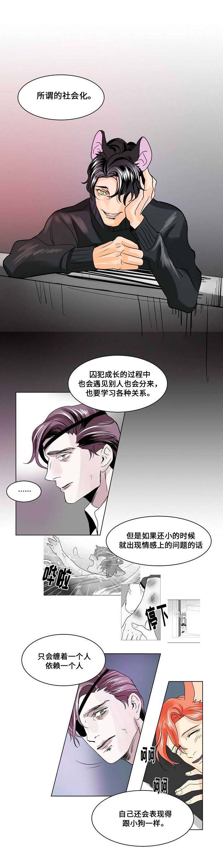 囚爱印度剧漫画,第22章：社会化2图