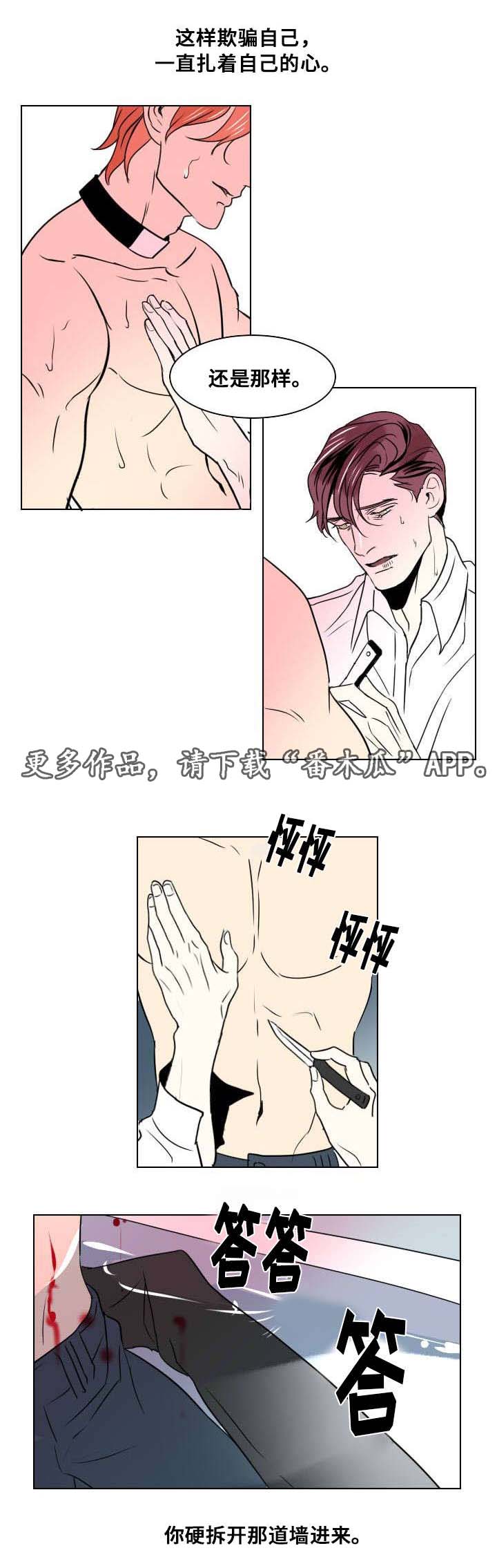 巯丙基甲基二甲氧基硅烷漫画,第20章：以安的刻印2图