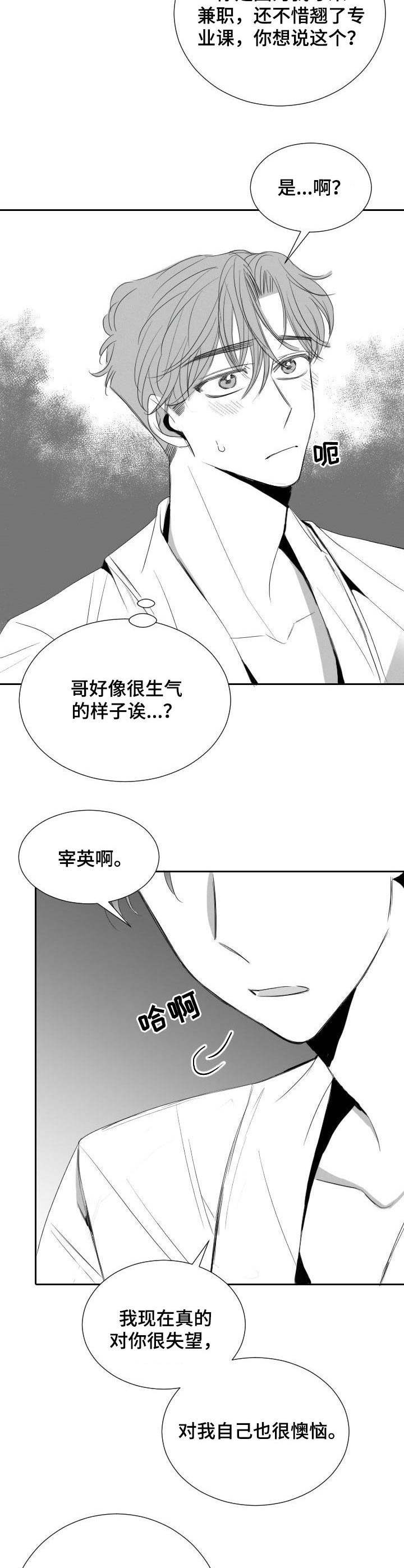 彗星出现当天要注意什么漫画,第31章：分歧1图