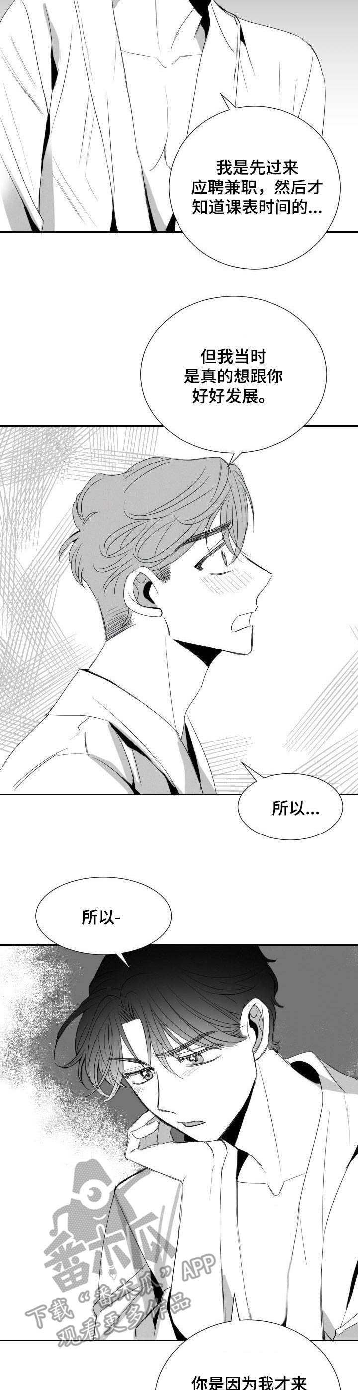 彗星出现当天要注意什么漫画,第31章：分歧2图