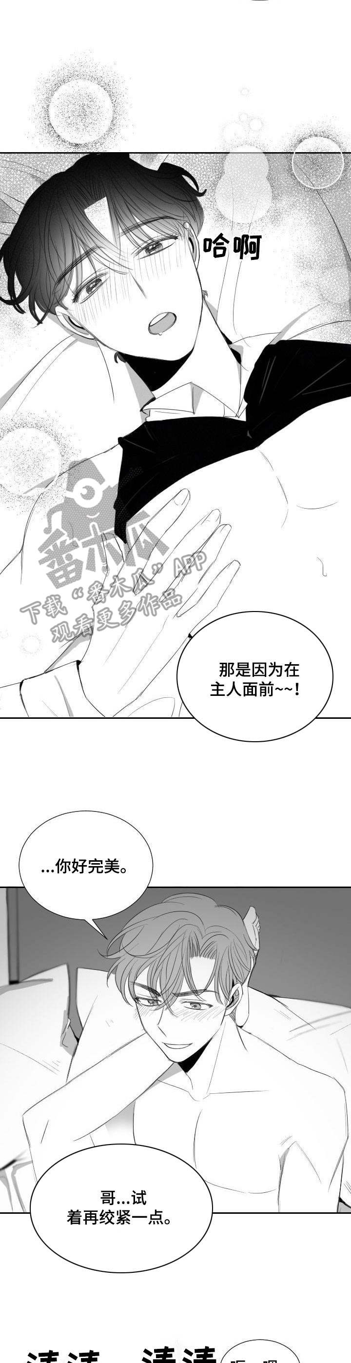 彗星租房公寓漫画,第36章：甜蜜恋爱1图