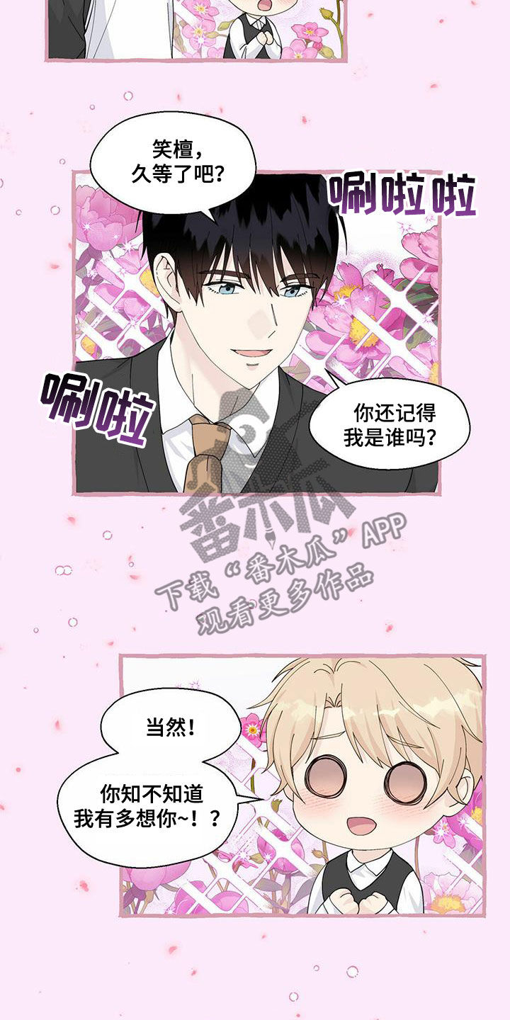 香草搭档漫画解说漫画,第94章：重逢1图