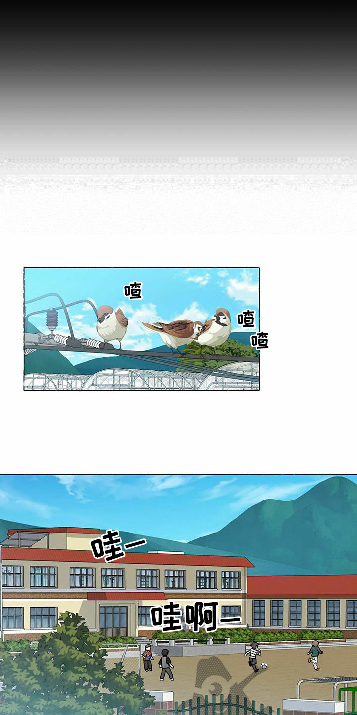 香草搭档漫画解说漫画,第86章：珍藏的记忆2图