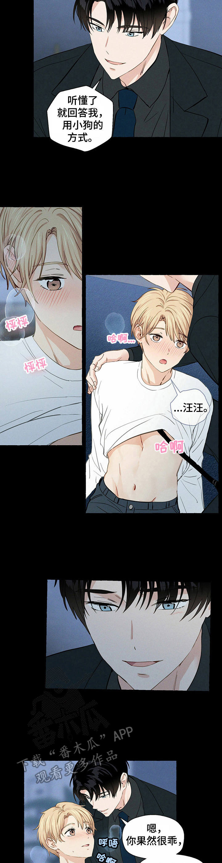 香草搭档漫画解说漫画,第19章：随你处置2图
