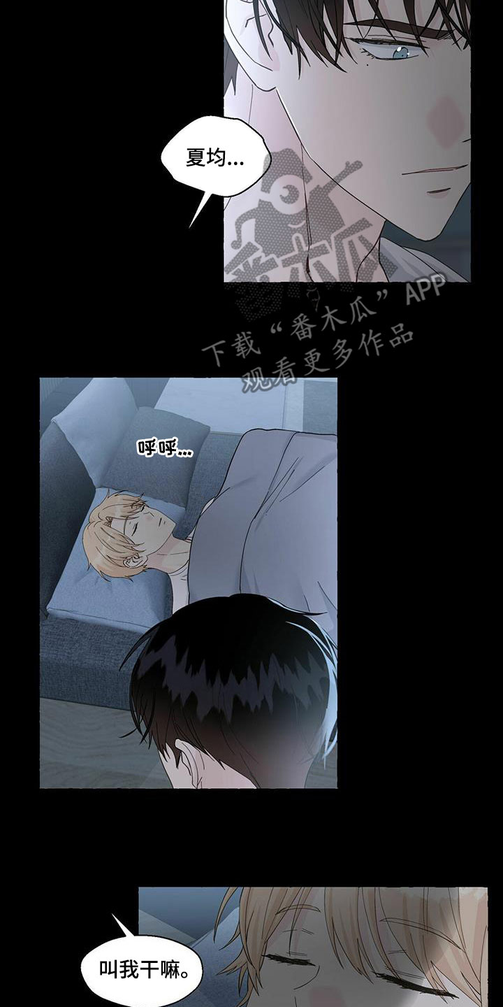 香草搭档漫画解说漫画,第86章：珍藏的记忆2图