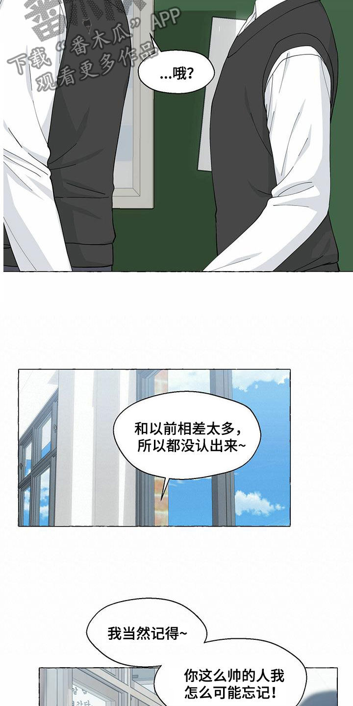 香草搭档漫画全集漫画,第94章：重逢2图