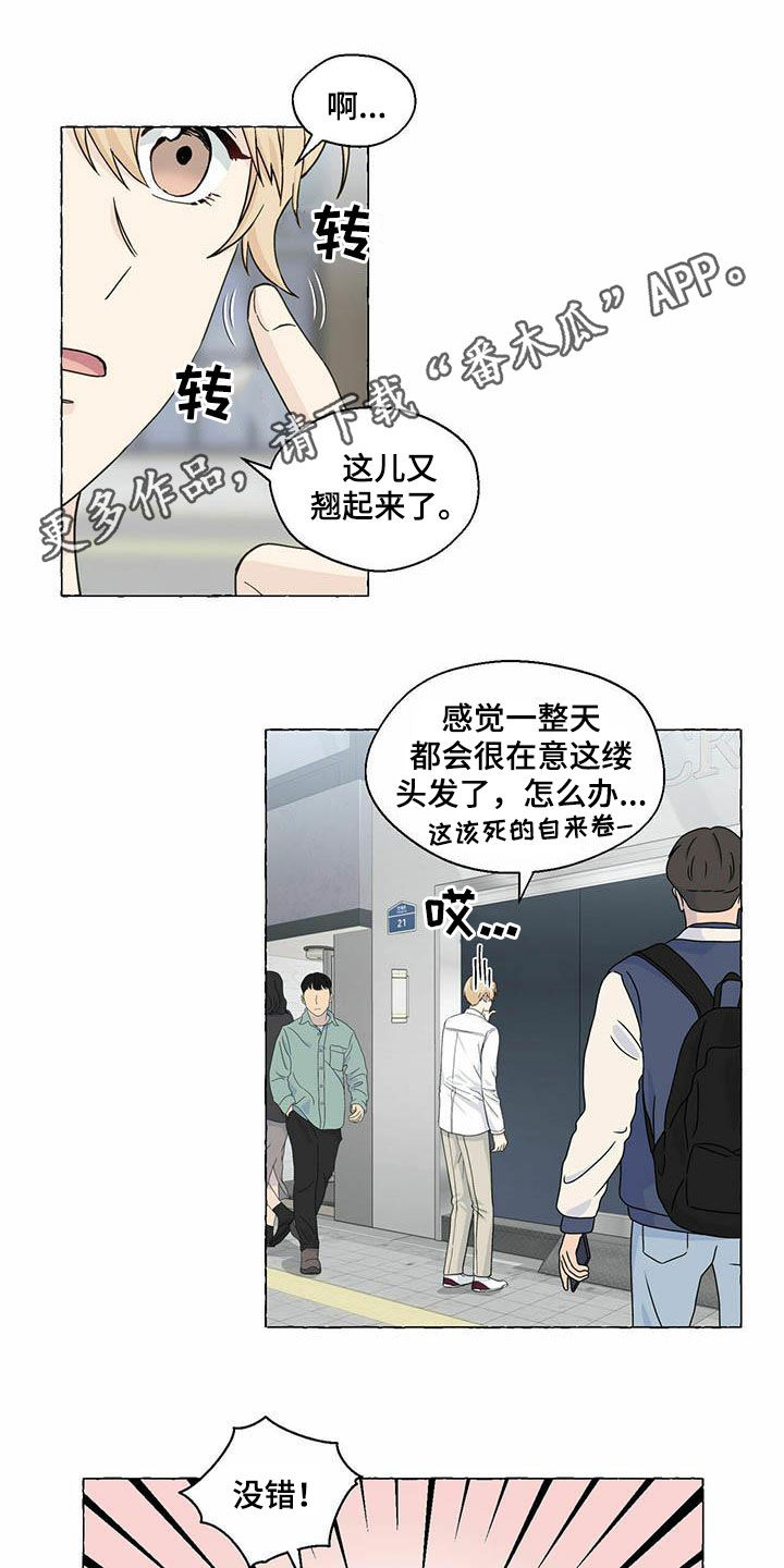 香草搭档漫画解说漫画,第79章：约会1图