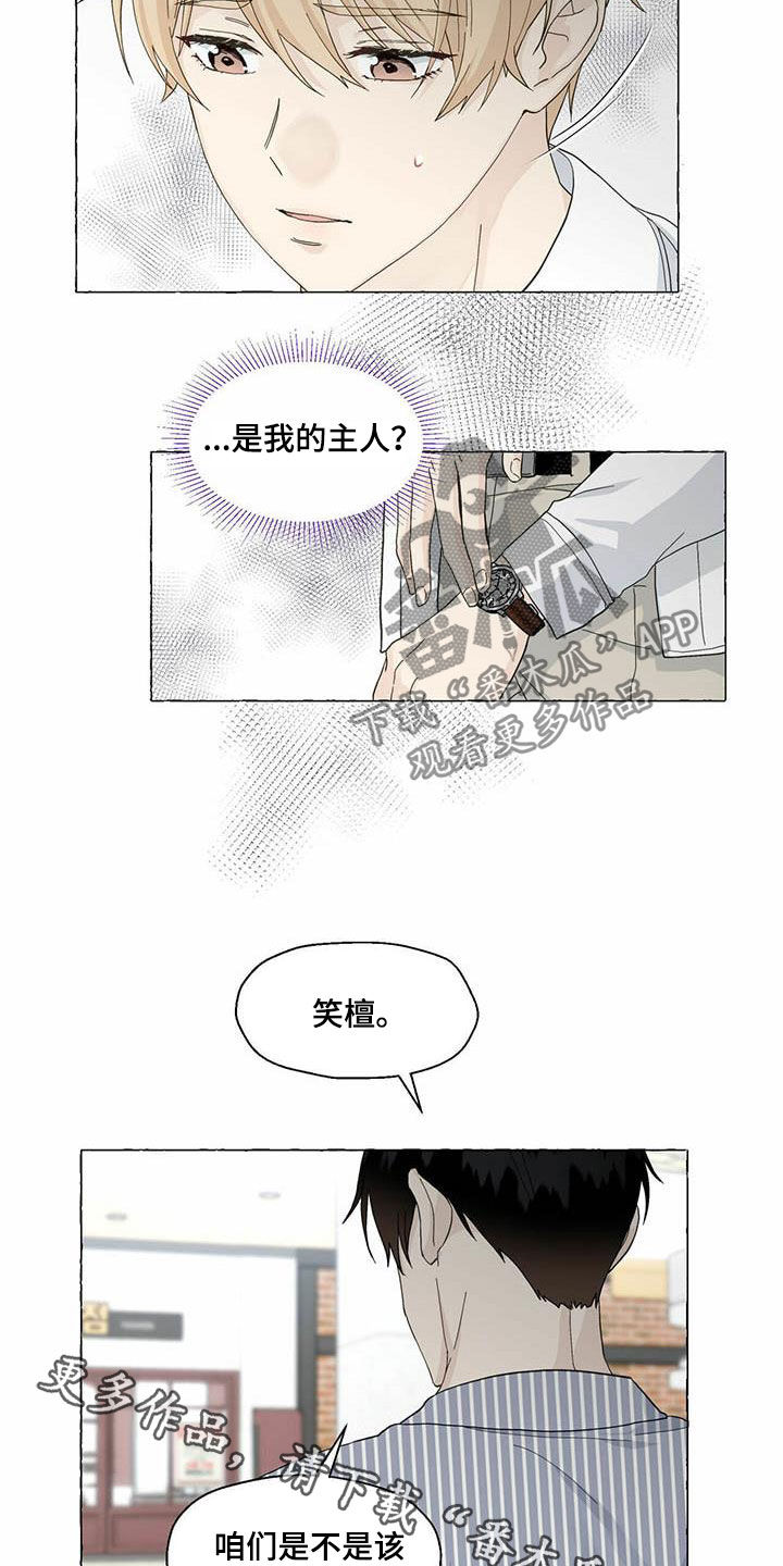 香草搭档漫画解说漫画,第80章：情侣同款2图