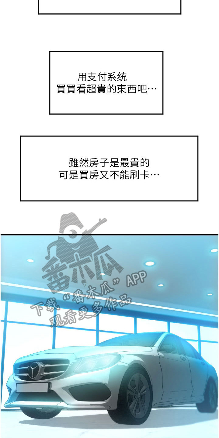 书铭《另类支付》漫画,第16章： 额度2图