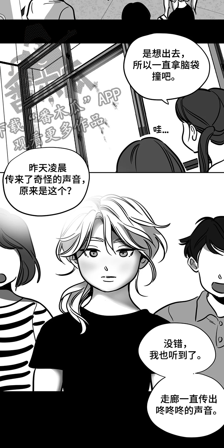 鸠占鹊巢漫画,第65章：【第二季】撞死的鸟2图