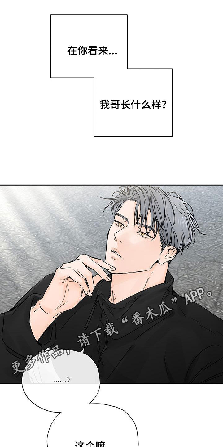 平行四边形有几条高漫画,第16章：只有他1图